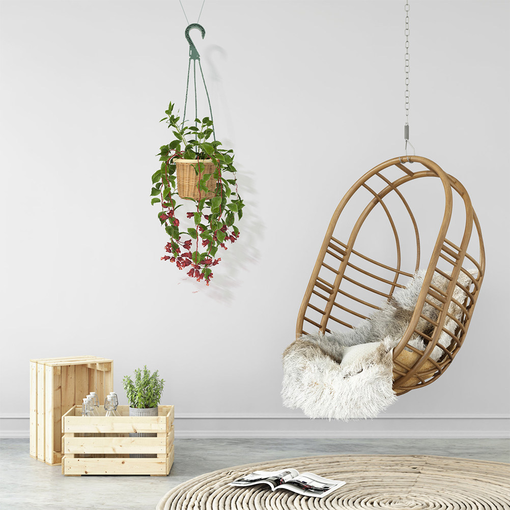 Spider Plant Hanging - Set di 5 Ganci per Piante