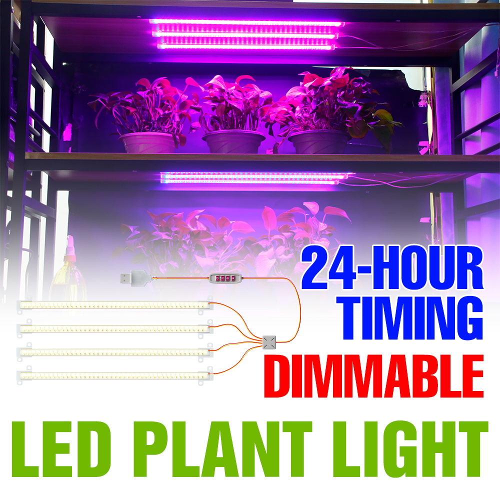 Echeveria Succulent - Barra LED per Piante da Interno