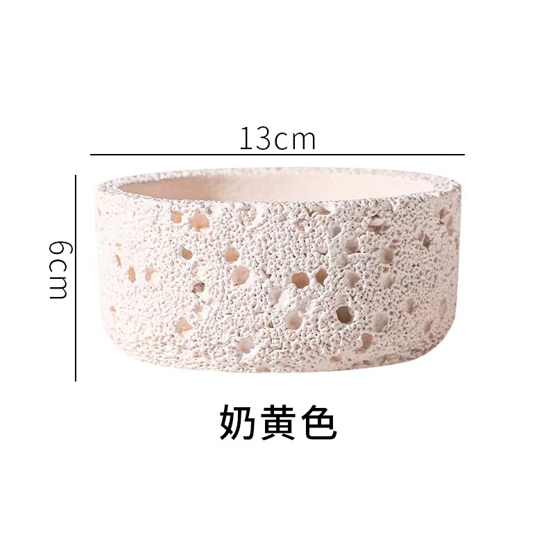 Echeveria Succulent - Vaso da fiori in cemento nordico