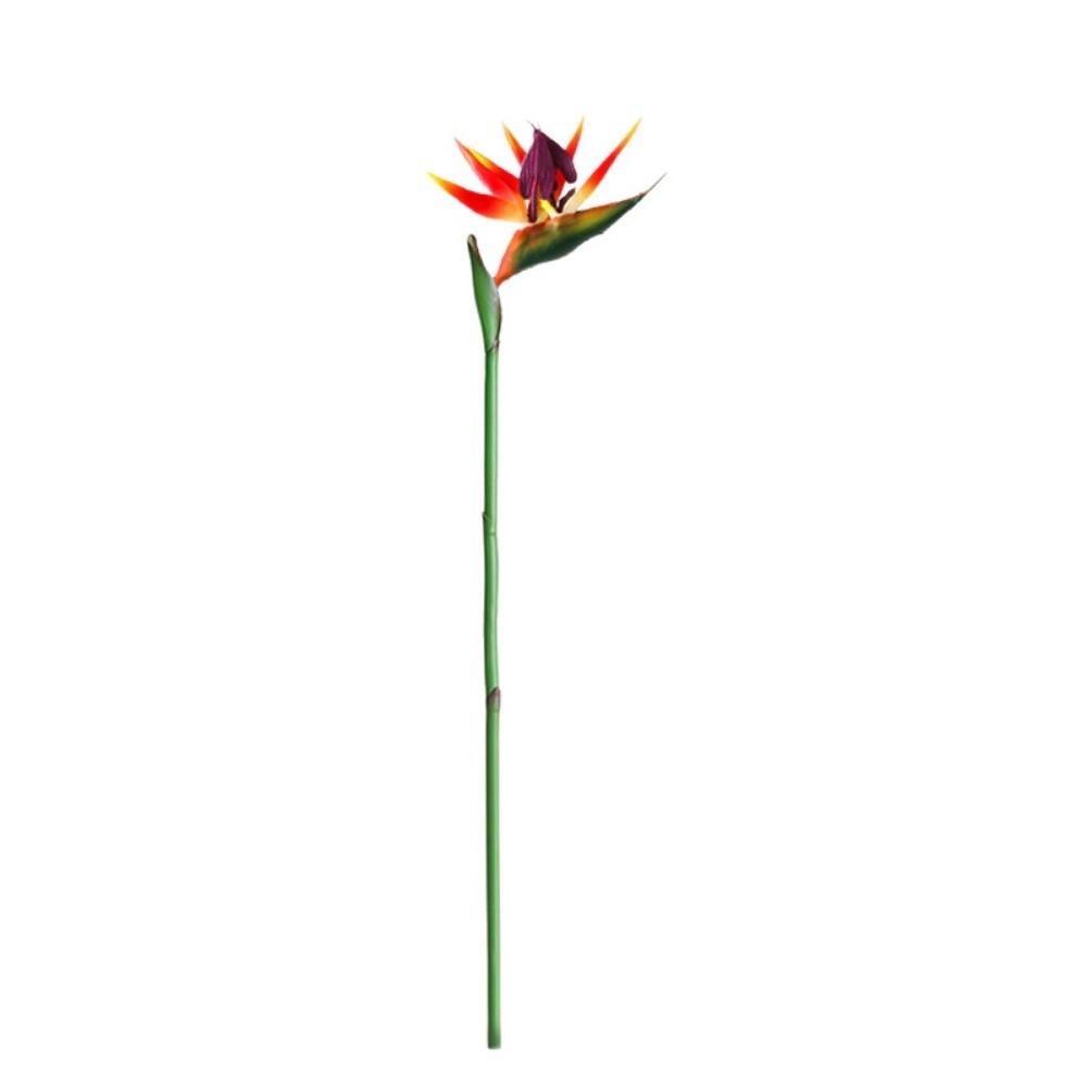 Piante Artificiali Strelitzia  - Bird Paradise Strelitzia recensione e prezzo