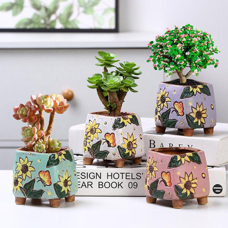 Vaso per piante grasse in stil - Echeveria Succulent recensione e prezzo