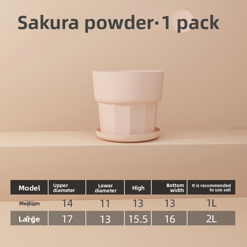 Vaso per Fiori in Resina Plast - Echeveria Succulent recensione e prezzo