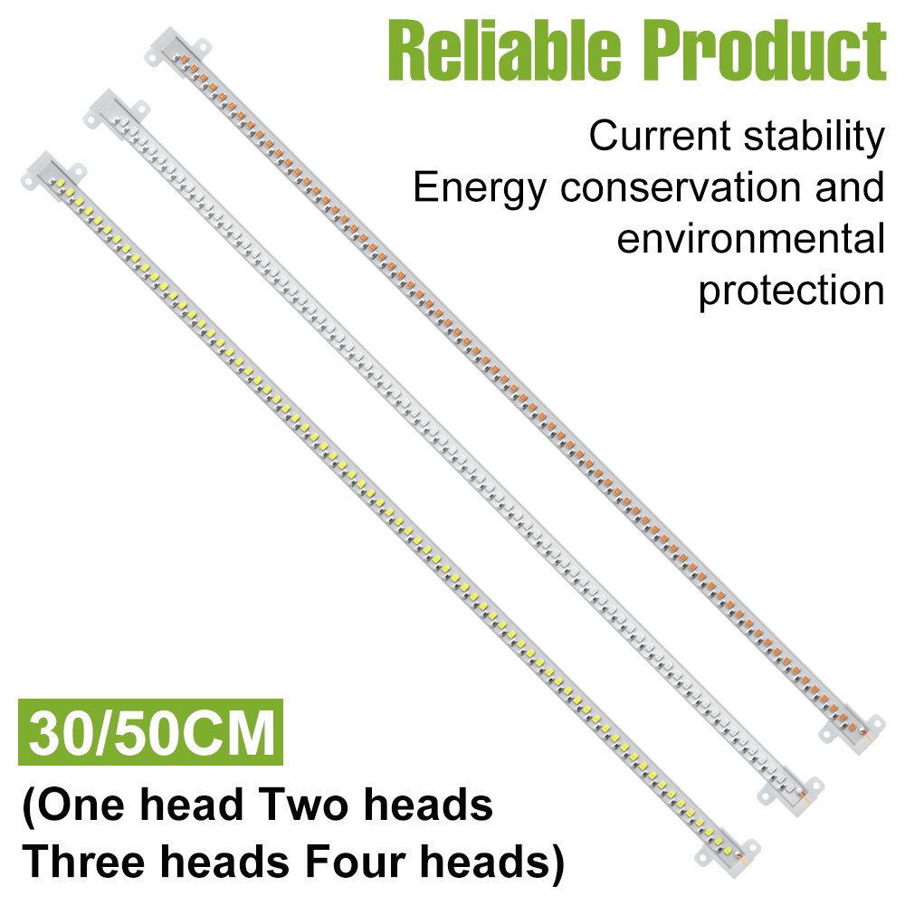 Barra LED per Piante da Intern - Echeveria Succulent recensione e prezzo