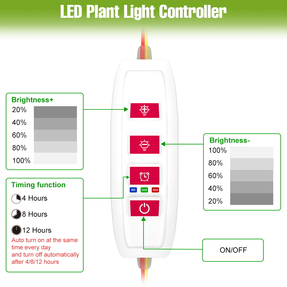 Barra LED per Piante da Intern - Echeveria Succulent recensione e prezzo