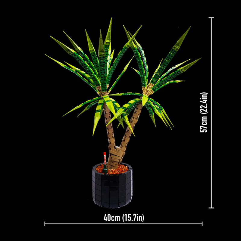 1961 pezzi MOC Dracaena Margin - Dracaena Marginata recensione e prezzo