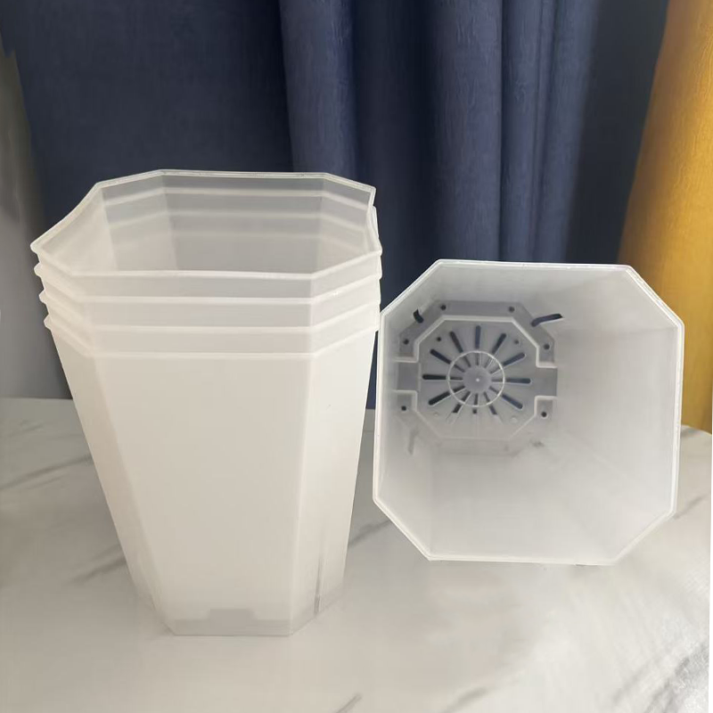 5PCS Vaso da fiori trasparente - Echeveria Succulent recensione e prezzo
