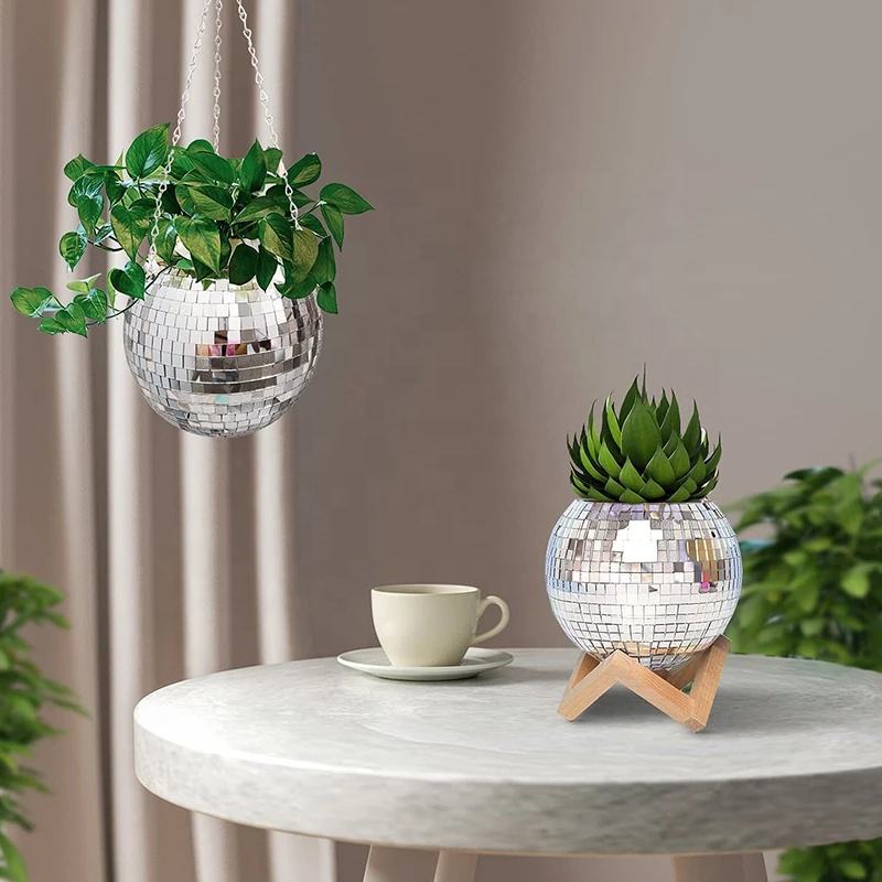 Vaso a sfera a specchio da dis - Echeveria Succulent recensione e prezzo