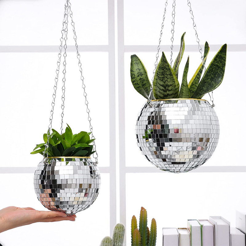 Vaso a sfera a specchio da dis - Echeveria Succulent recensione e prezzo