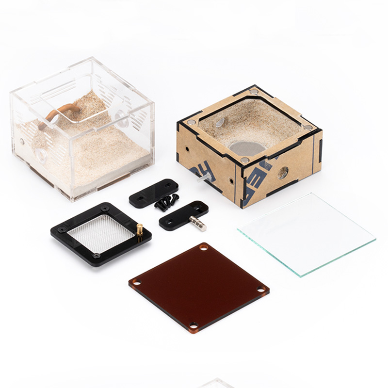 Ampia Casetta per Formiche con - Begonia Rex recensione e prezzo